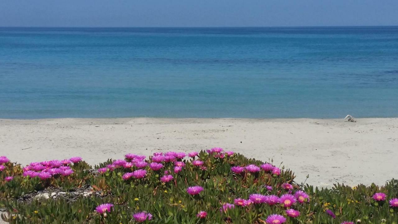 شقة Casa Azzurra سان فوكا المظهر الخارجي الصورة